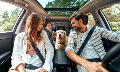 Must-Have Products for a Road Trip with Kids https://smartcartrends.com