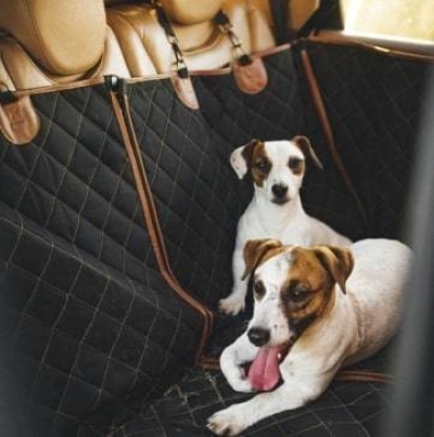 Travel Buddy Dog Seat Cover Dog in a Car New Arrivals
